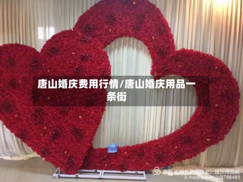 唐山婚庆费用行情/唐山婚庆用品一条街