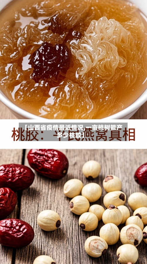 【山西省疫情最近情况,一亩桃树能产多少桃胶】