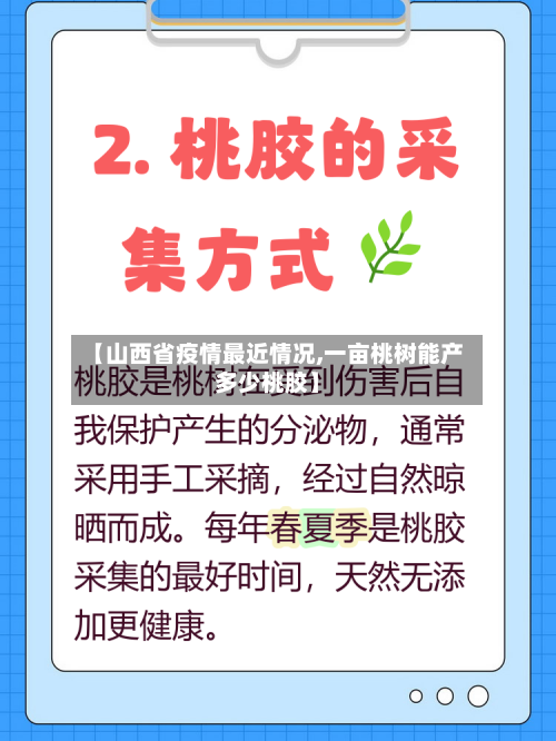 【山西省疫情最近情况,一亩桃树能产多少桃胶】-第2张图片