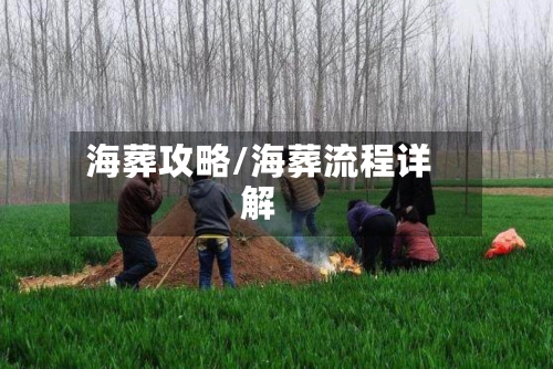 海葬攻略/海葬流程详解