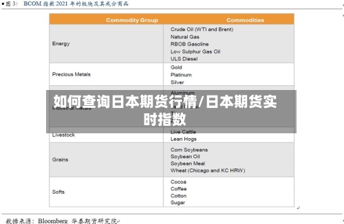 如何查询日本期货行情/日本期货实时指数