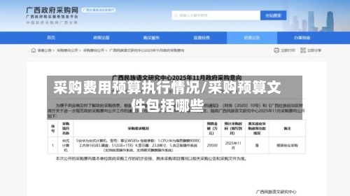 采购费用预算执行情况/采购预算文件包括哪些