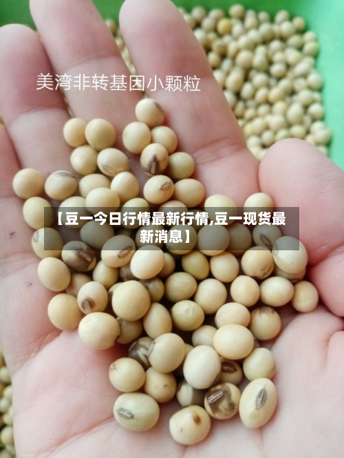【豆一今日行情最新行情,豆一现货最新消息】-第2张图片