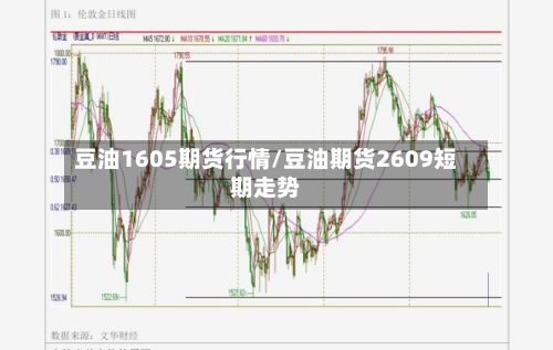 豆油1605期货行情/豆油期货2609短期走势-第3张图片