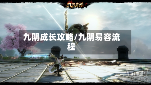 九阴成长攻略/九阴易容流程
