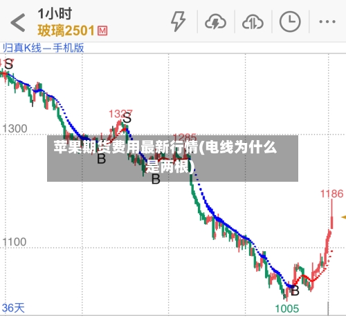 苹果期货费用最新行情(电线为什么是两根)-第2张图片