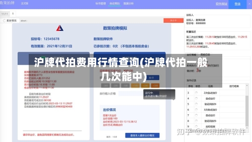 沪牌代拍费用行情查询(沪牌代拍一般几次能中)-第2张图片