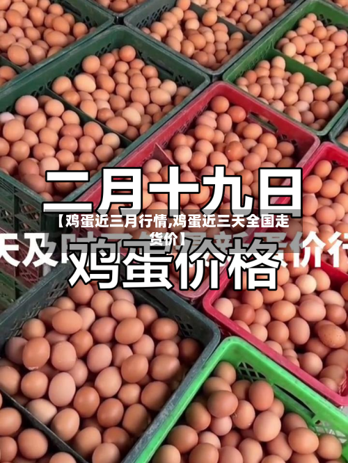 【鸡蛋近三月行情,鸡蛋近三天全国走货价】-第2张图片