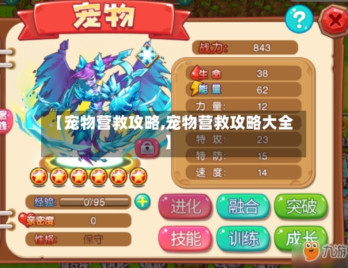 【宠物营救攻略,宠物营救攻略大全】-第2张图片