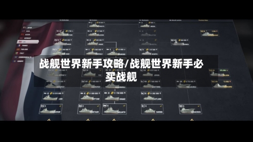 战舰世界新手攻略/战舰世界新手必买战舰-第3张图片