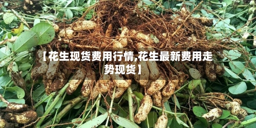 【花生现货费用行情,花生最新费用走势现货】-第2张图片
