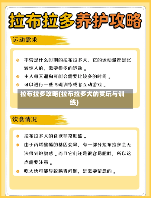 拉布拉多攻略(拉布拉多犬的赏玩与训练)