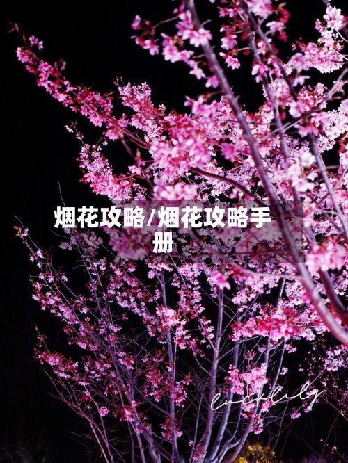 烟花攻略/烟花攻略手册-第3张图片