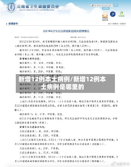 新增12例本土病例/新增12例本土病例是哪里的