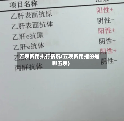 五项费用执行情况(五项费用指的是哪五项)-第2张图片