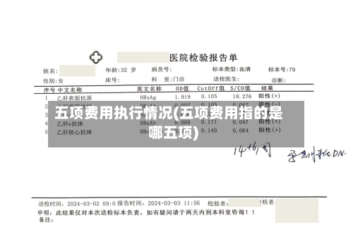 五项费用执行情况(五项费用指的是哪五项)