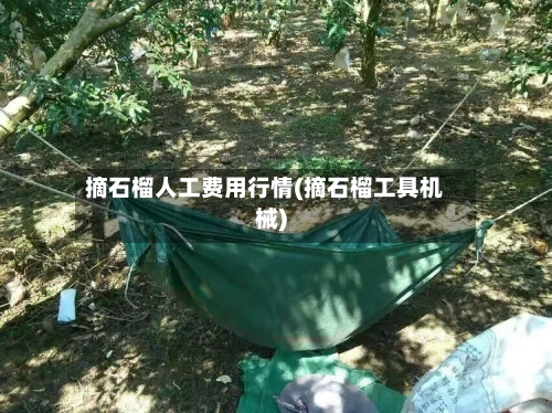 摘石榴人工费用行情(摘石榴工具机械)