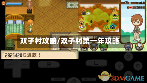 双子村攻略/双子村第一年攻略