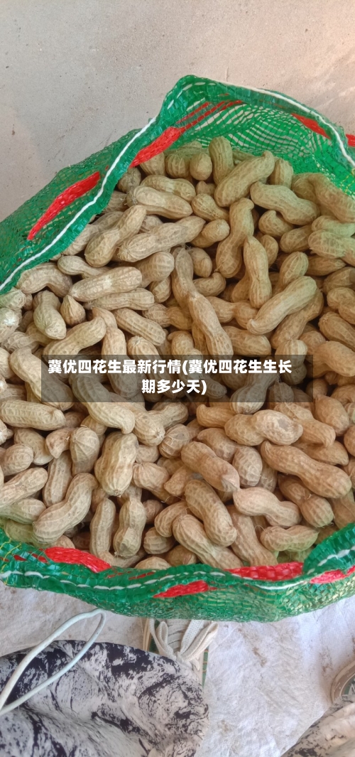 冀优四花生最新行情(冀优四花生生长期多少天)-第2张图片