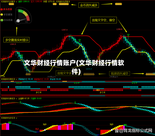 文华财经行情账户(文华财经行情软件)-第2张图片