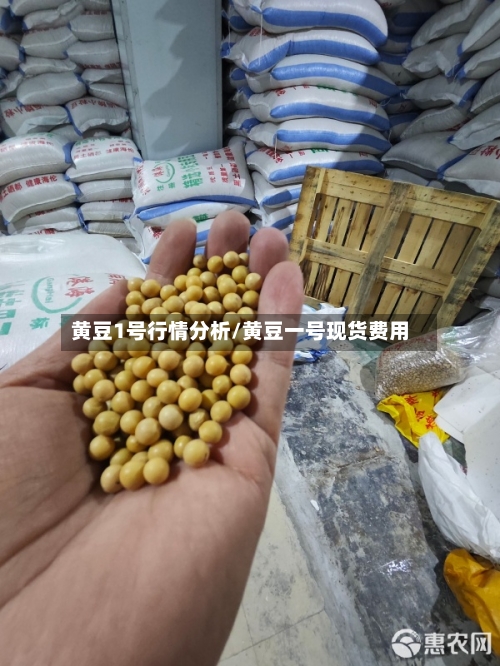 黄豆1号行情分析/黄豆一号现货费用-第2张图片