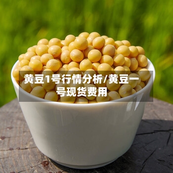 黄豆1号行情分析/黄豆一号现货费用