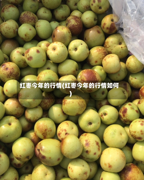 红枣今年的行情(红枣今年的行情如何)