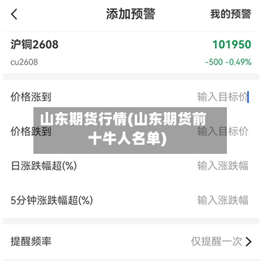 山东期货行情(山东期货前十牛人名单)-第2张图片