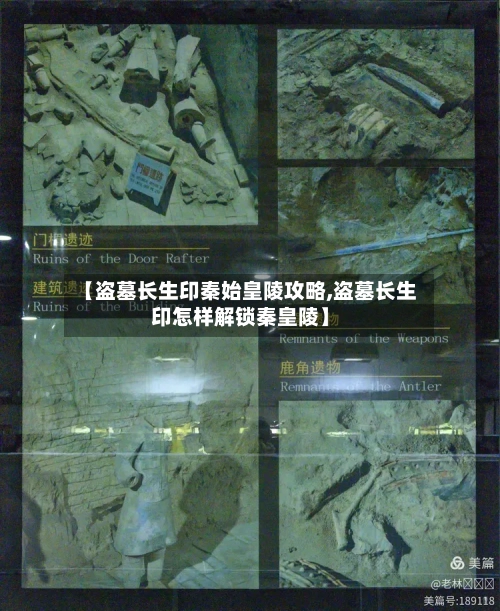 【盗墓长生印秦始皇陵攻略,盗墓长生印怎样解锁秦皇陵】-第2张图片