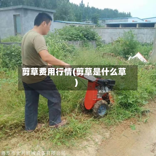 剪草费用行情(剪草是什么草)