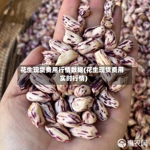 花生现货费用行情数据(花生现货费用实时行情)