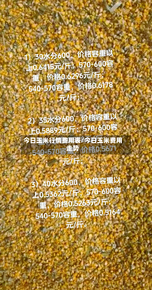 今日玉米行情费用表/今日玉米费用走势
