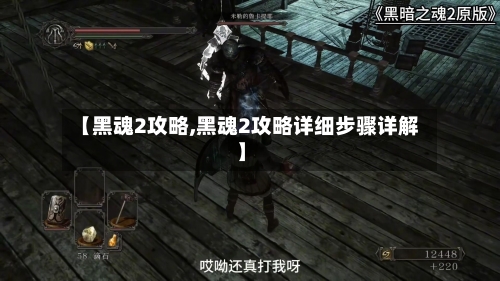 【黑魂2攻略,黑魂2攻略详细步骤详解】-第3张图片