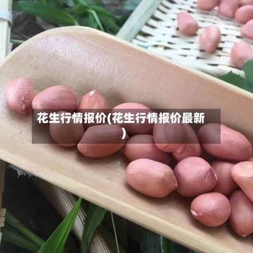 花生行情报价(花生行情报价最新)