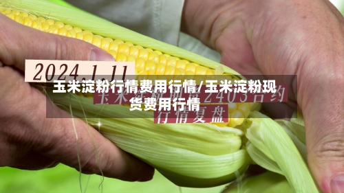 玉米淀粉行情费用行情/玉米淀粉现货费用行情