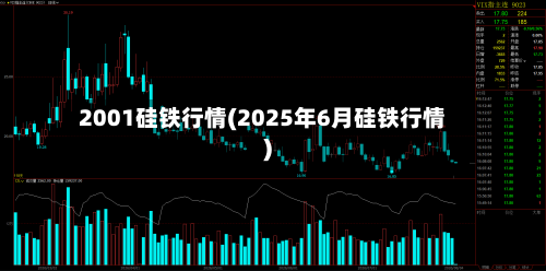 2001硅铁行情(2025年6月硅铁行情)-第2张图片