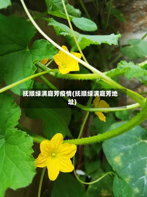 抚顺绿满庭芳疫情(抚顺绿满庭芳地址)-第3张图片