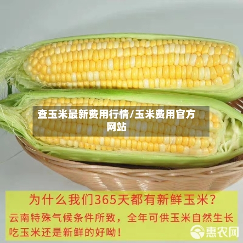 查玉米最新费用行情/玉米费用官方网站