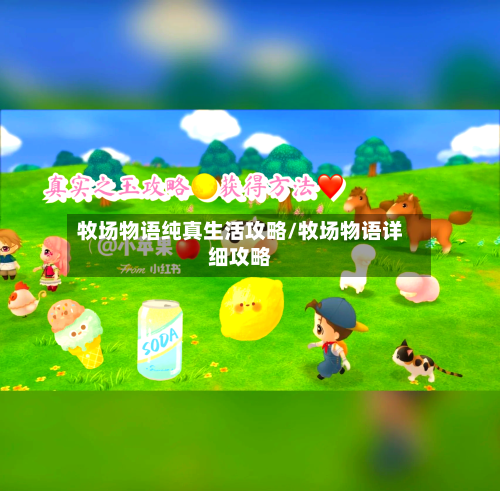 牧场物语纯真生活攻略/牧场物语详细攻略-第2张图片