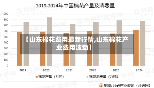 【山东棉花费用最新行情,山东棉花产业费用波动】-第3张图片