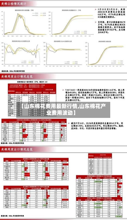 【山东棉花费用最新行情,山东棉花产业费用波动】