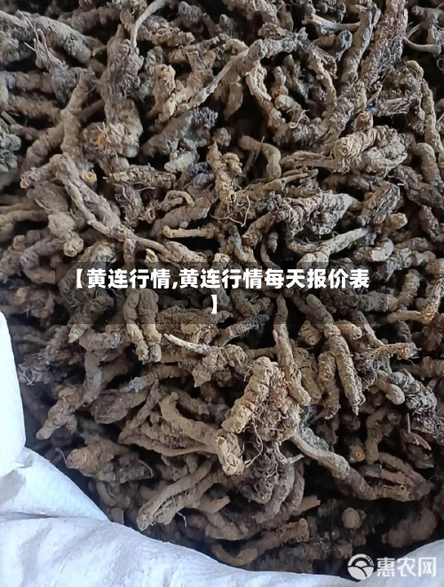 【黄连行情,黄连行情每天报价表】