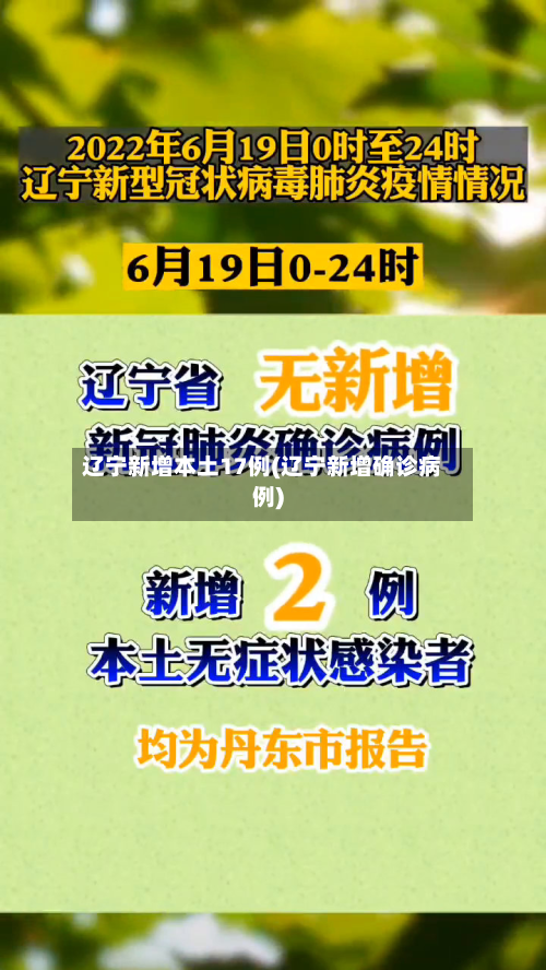 辽宁新增本土17例(辽宁新增确诊病例)