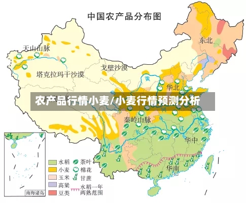 农产品行情小麦/小麦行情预测分析