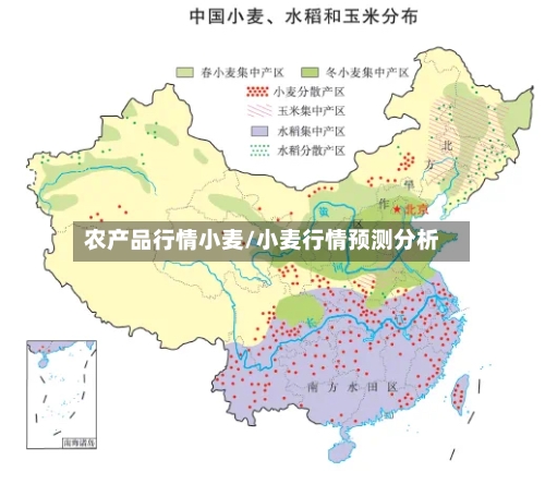 农产品行情小麦/小麦行情预测分析-第3张图片