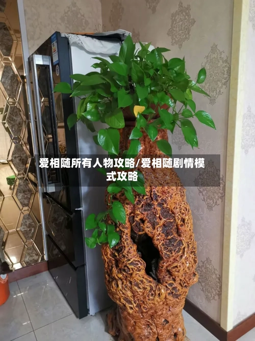 爱相随所有人物攻略/爱相随剧情模式攻略