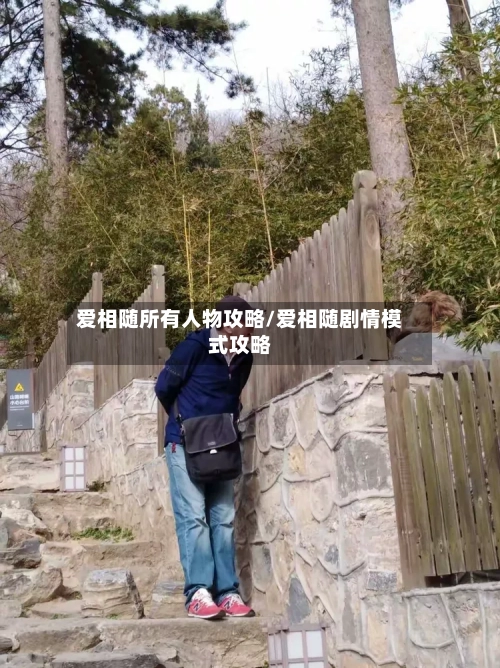 爱相随所有人物攻略/爱相随剧情模式攻略-第2张图片