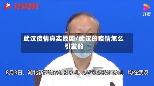 武汉疫情真实原因/武汉的疫情怎么引发的-第2张图片