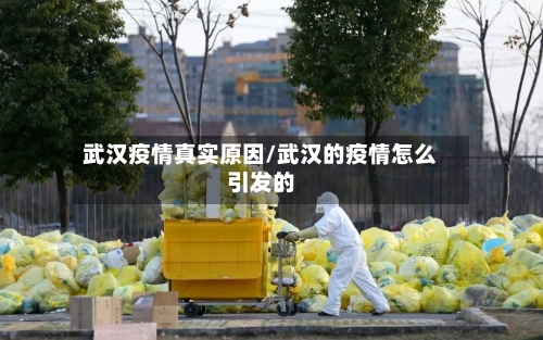武汉疫情真实原因/武汉的疫情怎么引发的