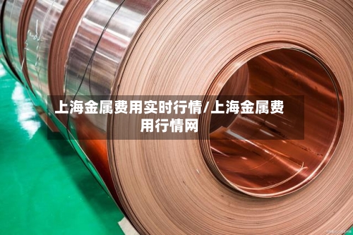 上海金属费用实时行情/上海金属费用行情网